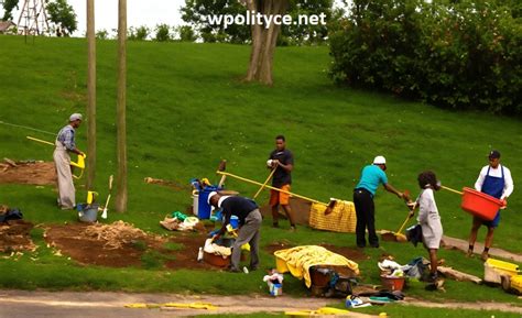 mexican lawnmower|Mowing More Than Lawns: Meaning of Mexican Lawnmower.